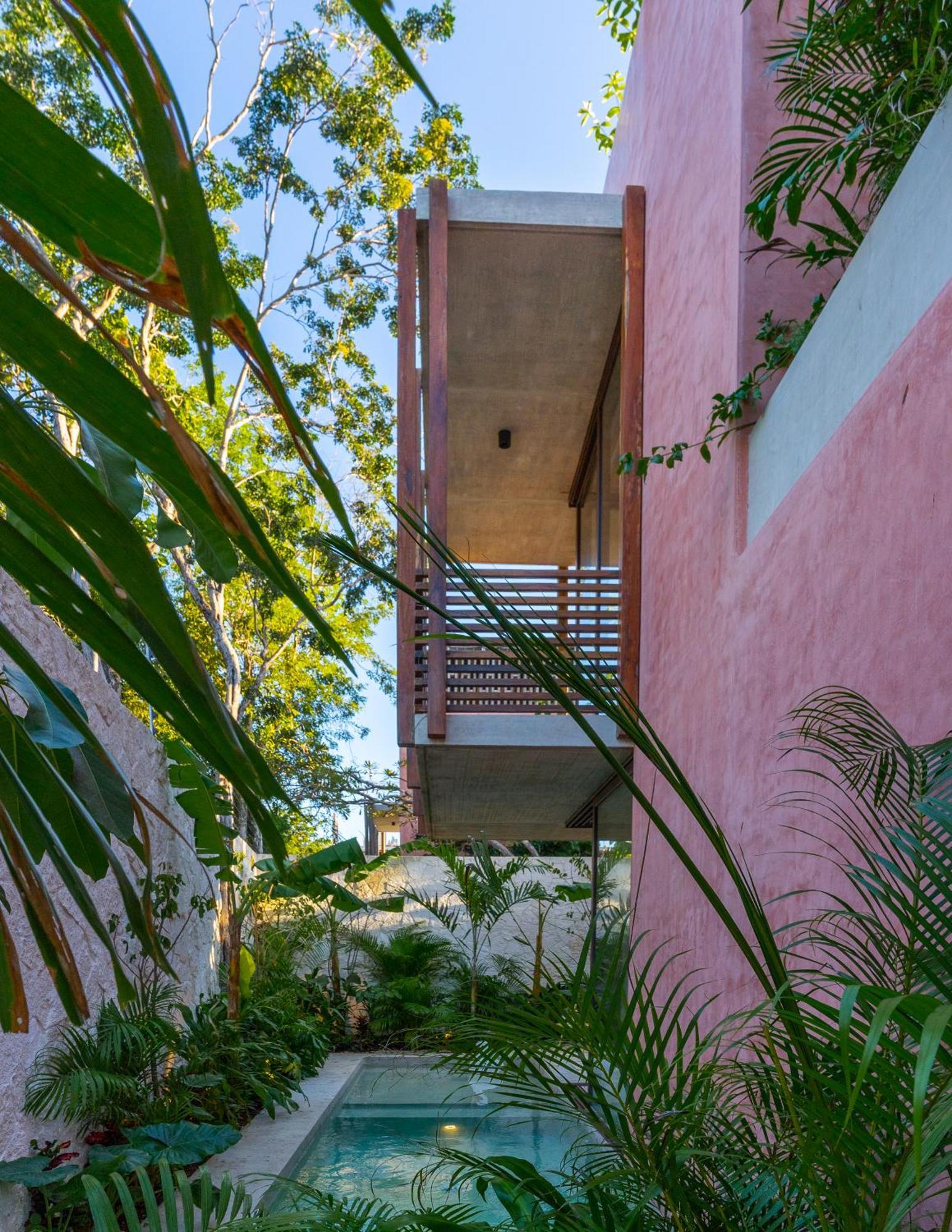 Entorno Tulum - Luxury Villas Dış mekan fotoğraf